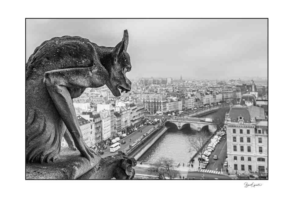 Photographie d’une chimère de Notre-Dame de Paris.