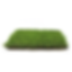 Thumbnail: Evergreen 73