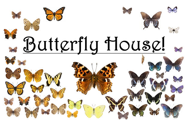Butterfly House.jpg