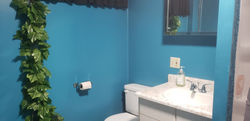 Basement Bathroom