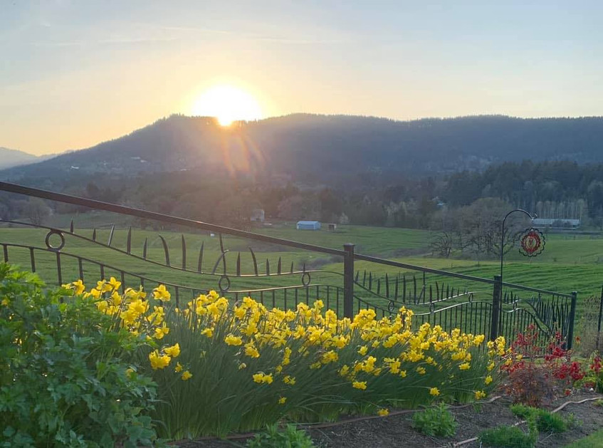 HOME Terra Bella Farm