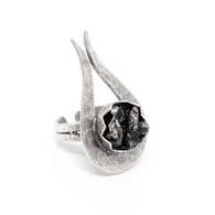 Meteorite Comet Ring