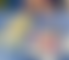 Week commencing 16th October 2023 - Acorns 25. 