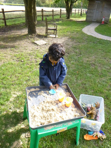 Week Commencing 11th October 2021