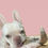 Thumbnail: Lamb Horn