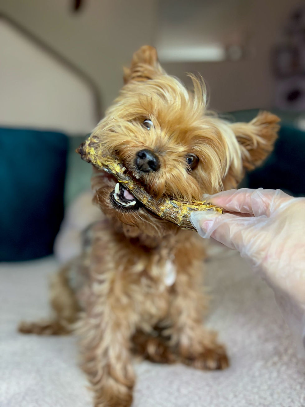 Thumbnail: Duck Neck