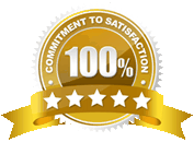 100 Percent.gif