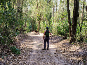 O Que a Caminhada Me Ensinou Sobre Viver