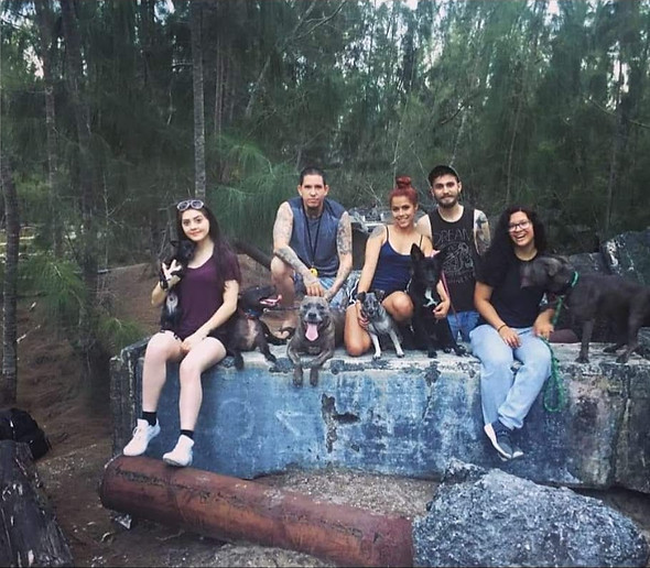 Entrenamiento en grupo