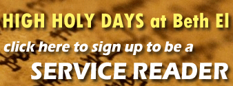 servicereader.gif