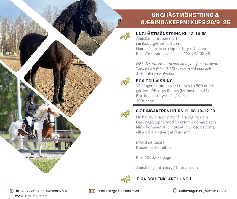 Unghäst + gaedinga.png