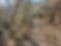 carvalhos.jpg