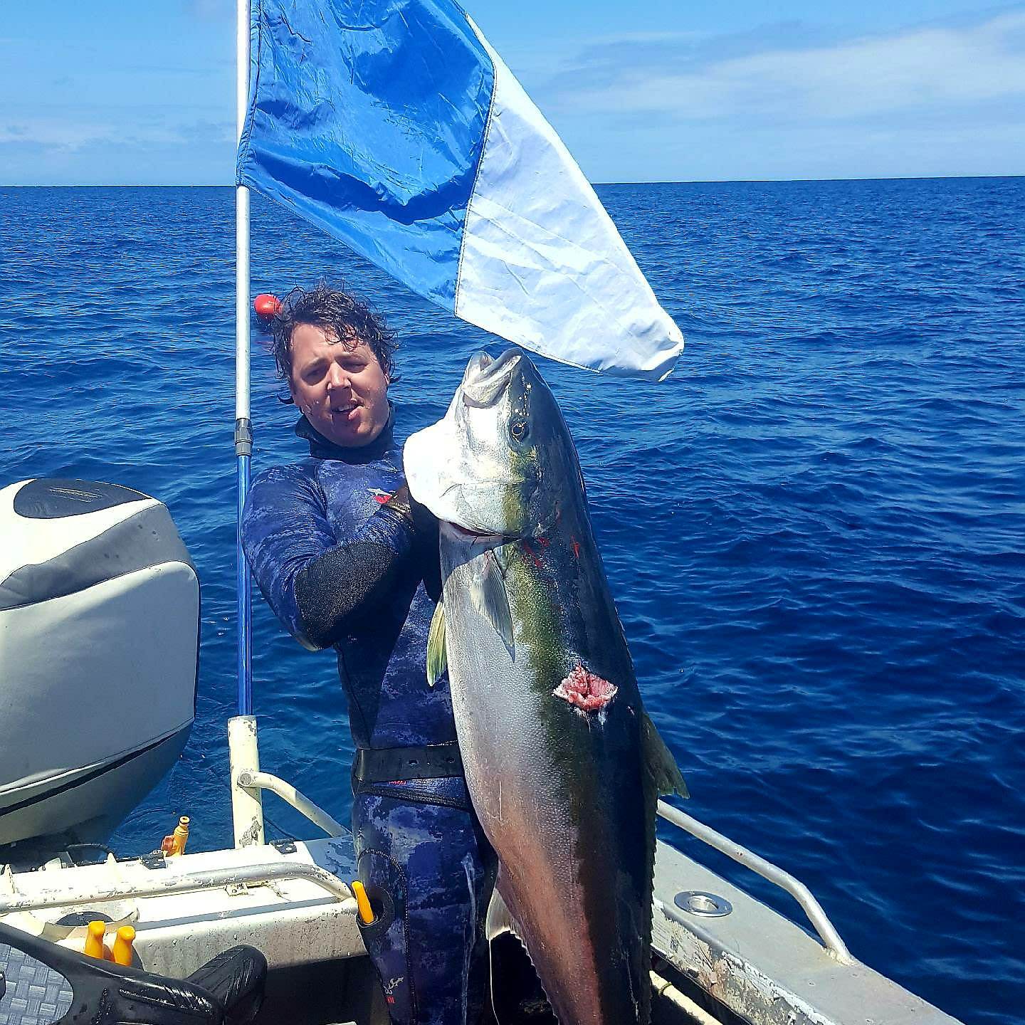 My my, what a big kingfish you have