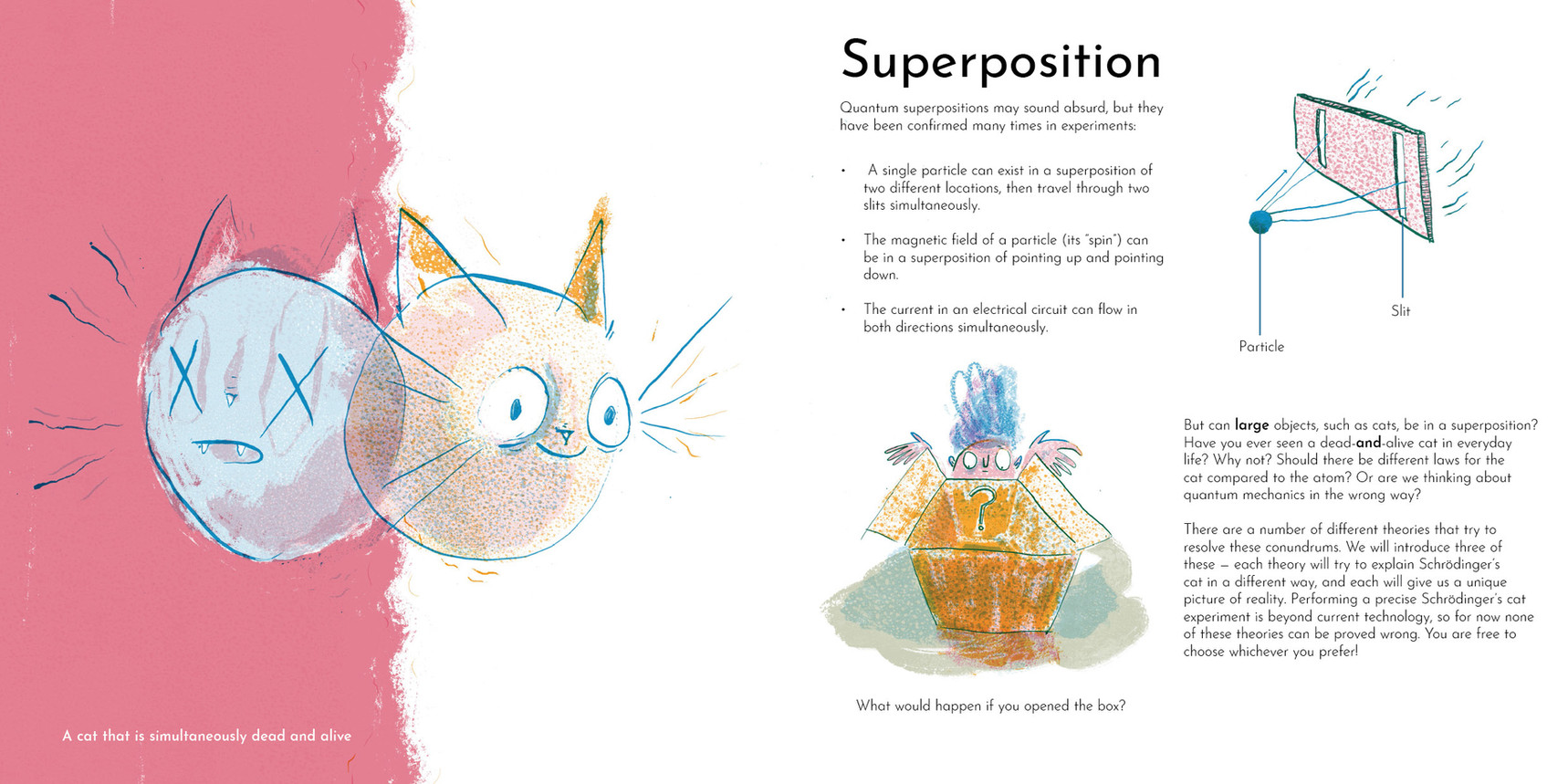 Schrödinger's cat quantum physics illustration illustrated by Joseph Namara Hollis author Paul Knott Nottingham University FQXi Superposition science picture book