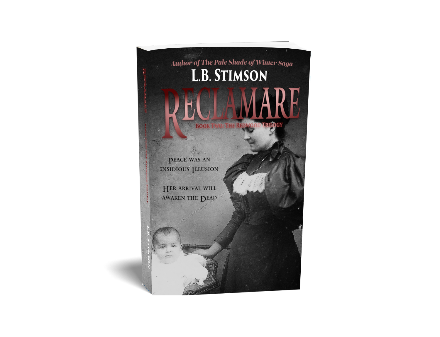 Reclamare Paperback