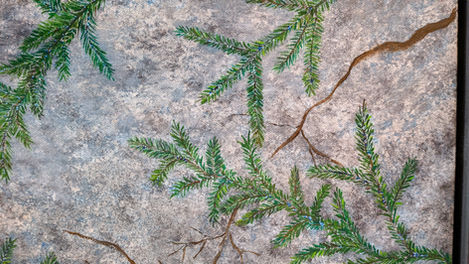 PXL_20260101_165419953.MP