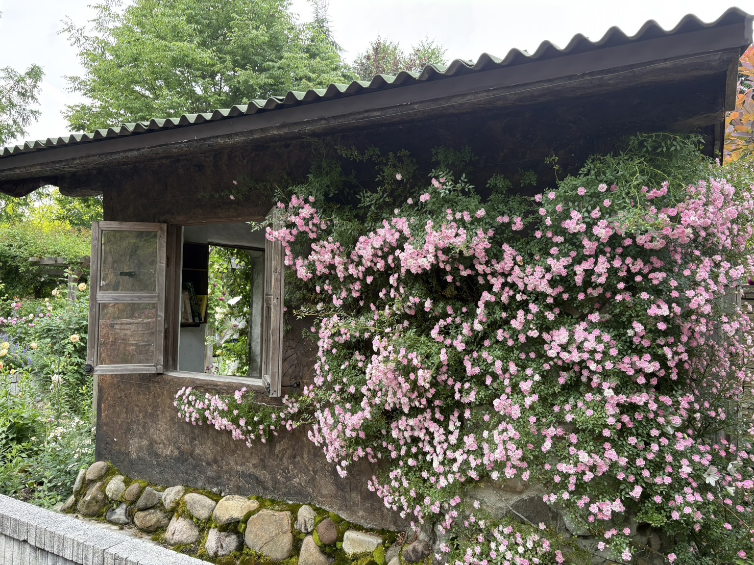 執筆者の写真: 山口