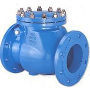 Swing check valves.JPG