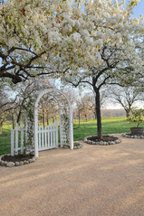 Winters Wedding Venue Rose Arbor Gate