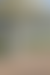 Winters Wedding Venue Rose Arbor Gate