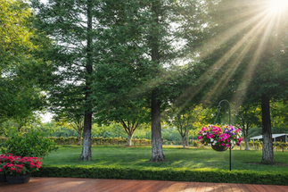 Wedding Venue Scenic backdrop