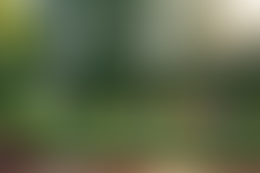 Wedding Venue Scenic backdrop