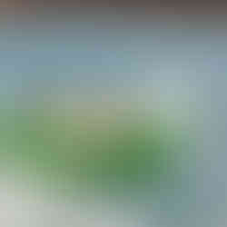 Best Get Away Water Sports Lake Berryessa