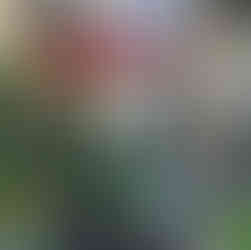 Best Get Away Wine Tasting Room