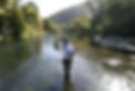 1200x0.jpg