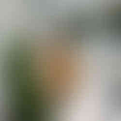 Best Get Away Place to Stay Porch