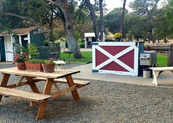 barnyard bar.jpg