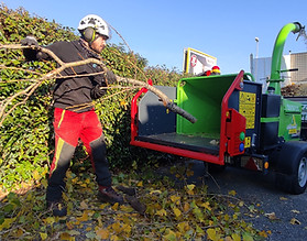 1665918428682 (1).jpg