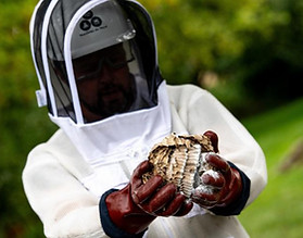 B9734952127Z.1_20230826154834_000+GQ1NAL4C1.4-0 (1).jpg