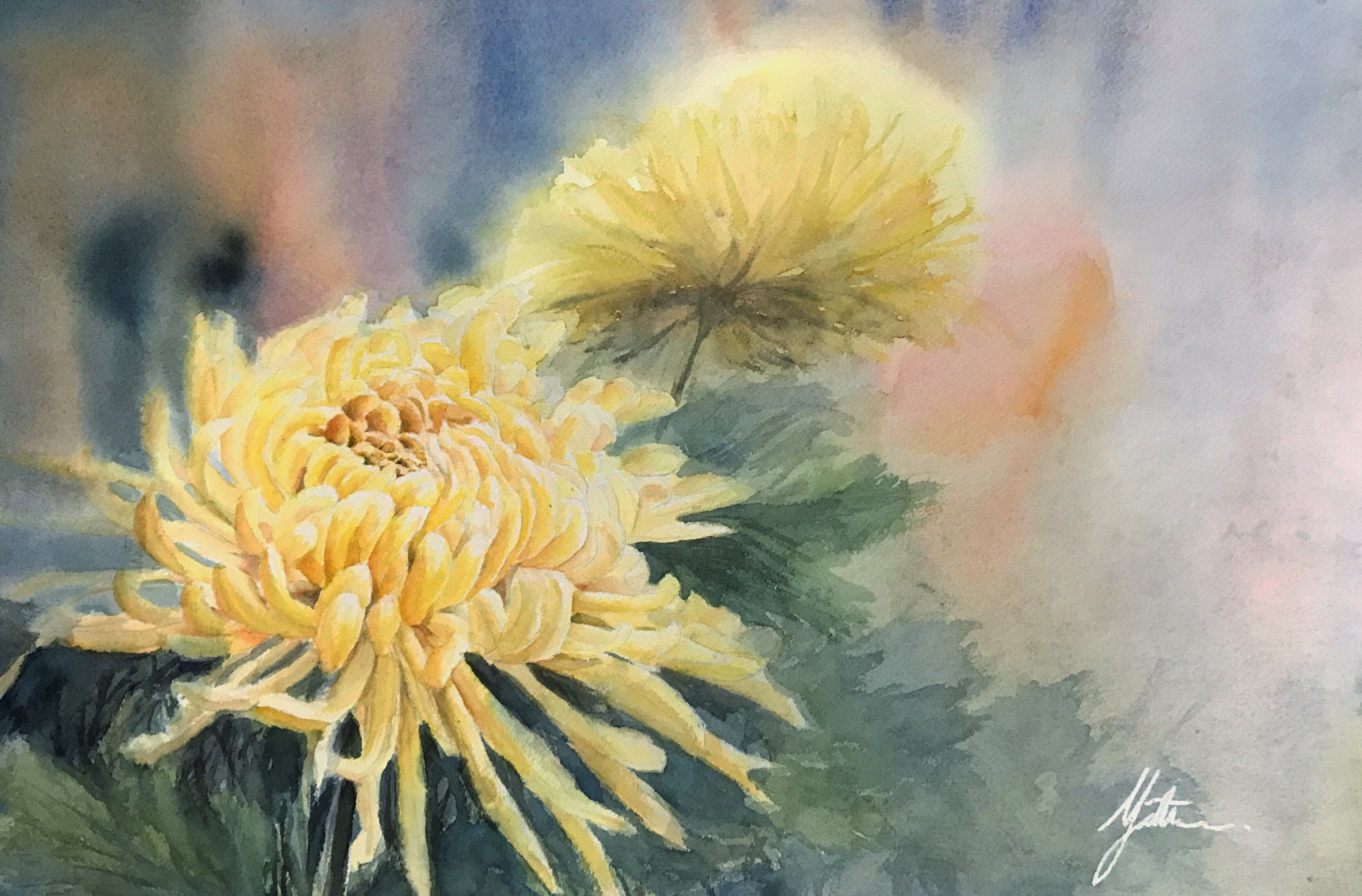 The Daisy