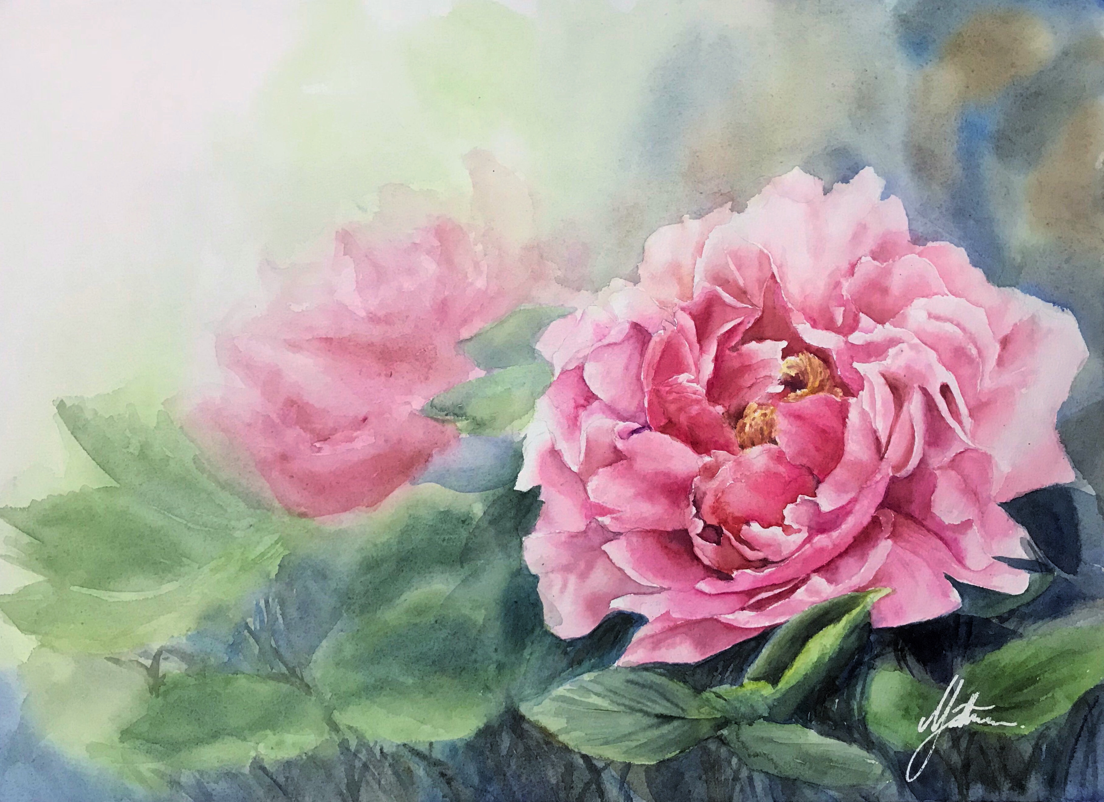 < The Peony >