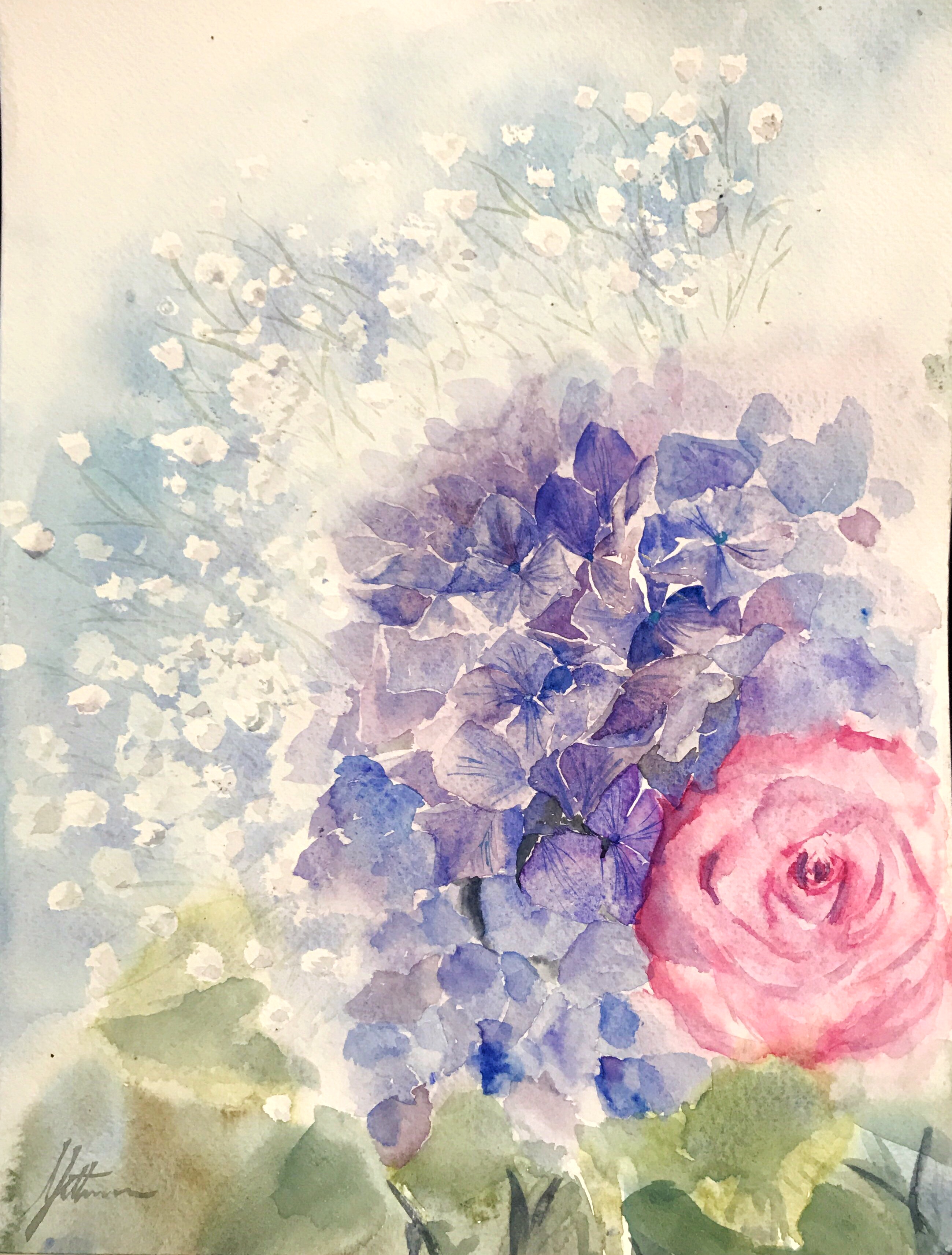 Valentines Hydrangea
