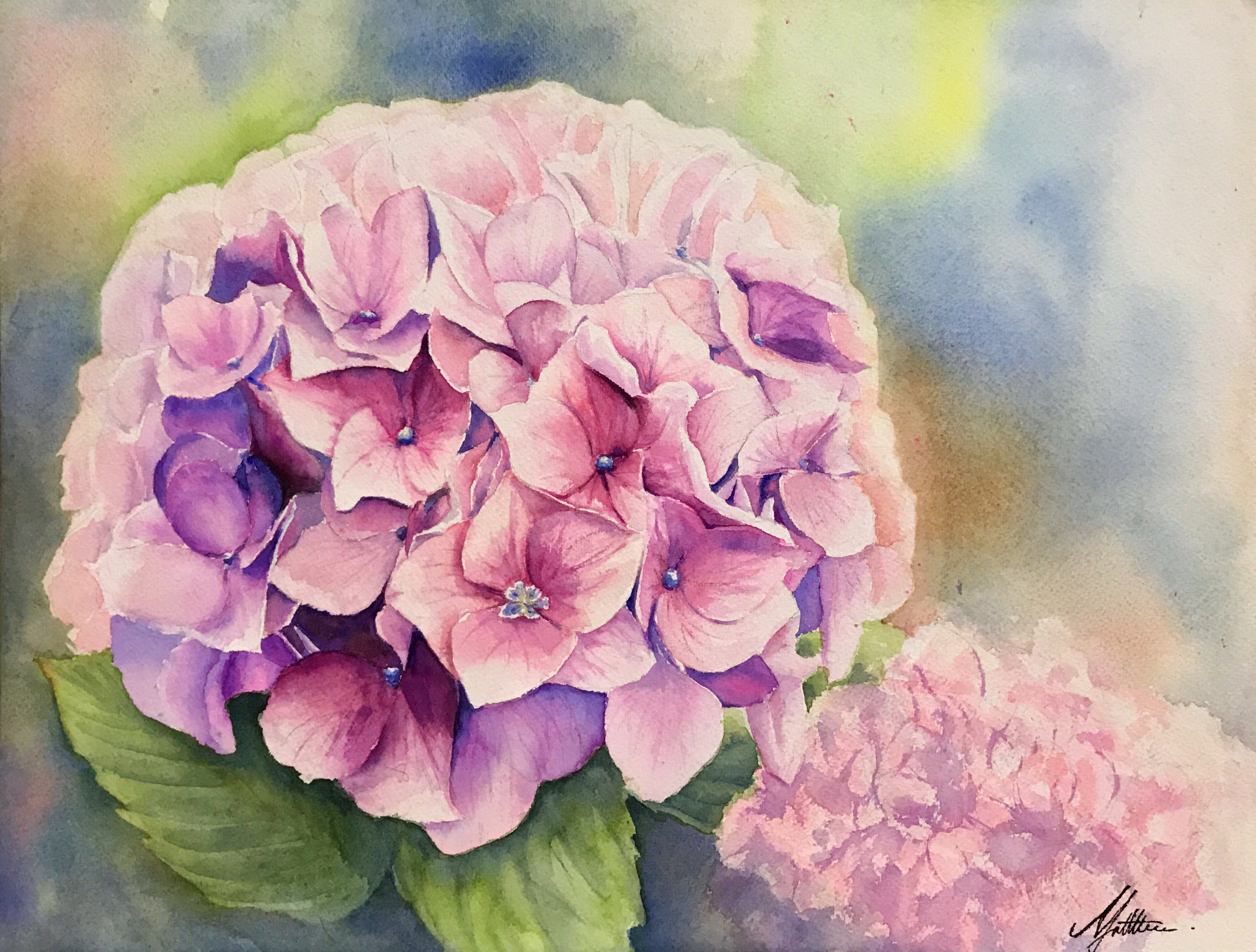 < Flower of Life>