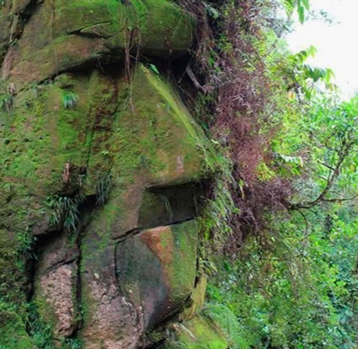 rostro_piedra_solo-para-viajeros_edited.