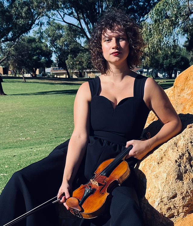 Live violin with backing track at private function