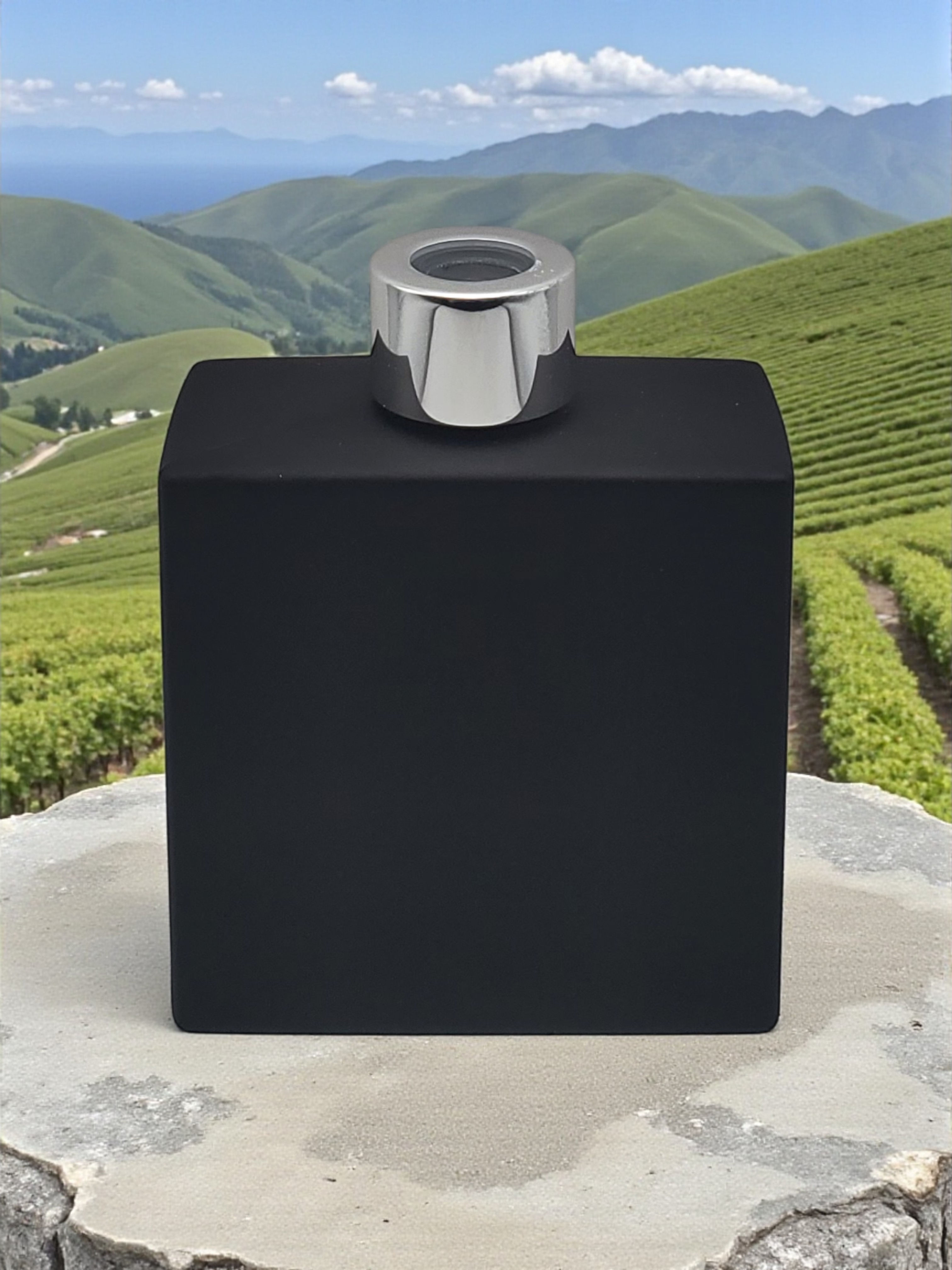 Blanc du Bois Reserve Reed Diffuser 6oz