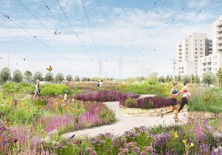 Многодисциплинарный конкурс по ландшафтной архитектуре создает коридор биоразнообразия в Монреале