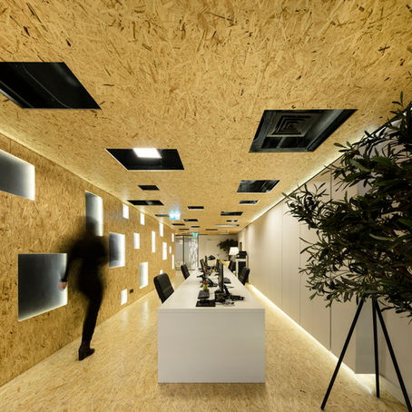 The Versatility of OSB Panels in 12 Projects