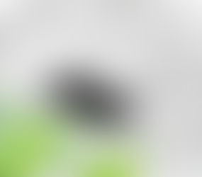 OMA / Jason Long and YA Studio To Design 100% Affordable Housing Project in San Francisco