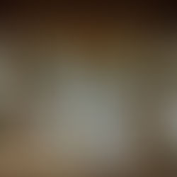 Художественная студия Blakely Island / Olson Kundig