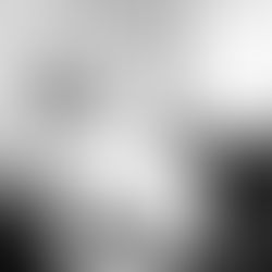 В центре внимания: Фрей Отто