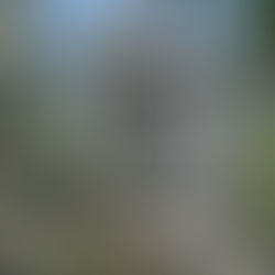 Naturals Now Shop / Drink Water Design Studio