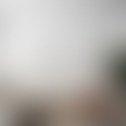 Apartment XVI / Studio Razavi architecture