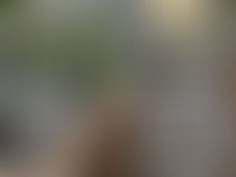 JR大森駅からミライブランさんへのご案内