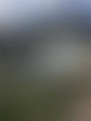 Desert X: Art Installation that Transforms Coachella Valley, CA