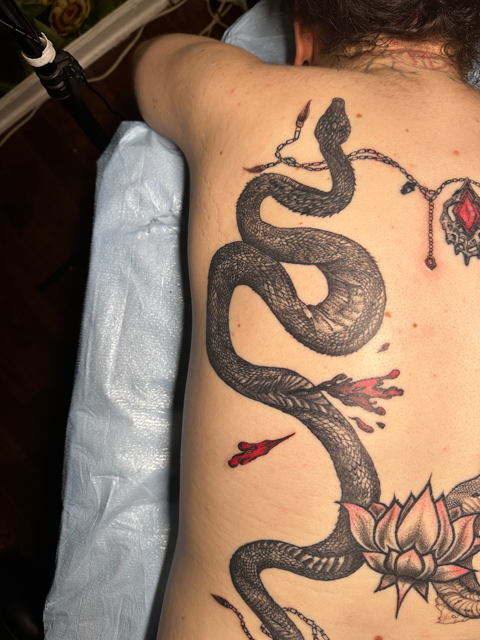 Double snake back motif 1